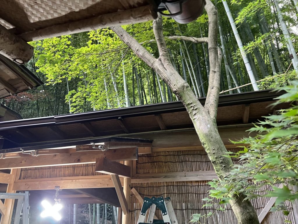 施行中