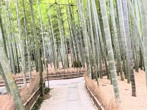 竹林